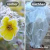 A split image showing a frosted yellow flower on the left and a potted plant covered in bubble wrap on the right. Produktbild-Vorschau