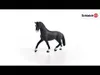 schleich HORSE CLUB Hanoverian mare, 5 lat(a), Czarny, 1 Podgląd zdjęcia produktu 10