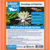 Clever Aqua Milchsäurebakterien Teich 6000ml probiotische Produktbild-Vorschau 3