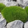 Stauden Gänge 1 x Festuca gautieri - Bärenfellgras - Produktbild-Vorschau 1