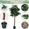 PLANTASIA Umělá rostlina strom, mango, 180 cm Náhled obrázku produktu 8