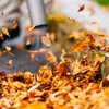 Elektrisches Laubblasgerät, Gartenstaubsauger 3500 W TOP Produktbild-Vorschau 12