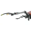 Toymany ML00428 Giraffenhalskäfer 8,4 cm Reptilienreich Produktbild-Vorschau 2