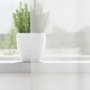A potted plant sits on a windowsill, partially obscured by a sheer white curtain. Voir les images du produit