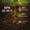DAP 1 kg fosfátové hnojivo pro kukuřici a obiloviny, Náhled obrázku produktu 2