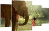 Bild auf Leinwand - Leinwandbild - Elefant Tier - 160x90cm Produktbild-Vorschau 1