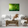 Bild auf Leinwand - Leinwandbild - Bambus Pflanze - 70x50cm Produktbild-Vorschau 6