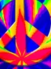 PSYWORK Schwarzlicht Stoffposter Neon "Weed Peace", Produktbild-Vorschau 3