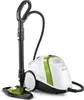 A white and green steam cleaner with a black handle and hose, shown on a white background. Anteprima dell’immagine prodotto