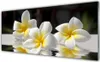 Acrylglasbilder 125x50 Wandbild Druck Blumen Pflanzen Produktbild-Vorschau 1