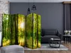 5-teiliger Einseitiger Vlies Paravent - Forest Rays II Produktbild-Vorschau 2