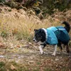 Non-stop dogwear FJORD RAINCOAT 2.0 teal |296| Regenschutz, Produktbild-Vorschau 4