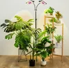 A collection of artificial plants arranged around a plant grow light stand, with the grow light illuminating the plants. Anteprima dell’immagine prodotto