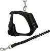 TRIXIE Mesh Y-Geschirr mit Leine - diverse - 39–60 cm/10 mm Produktbild-Vorschau 2
