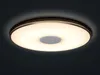 TRIO 628915001, 4000 lumen Productafbeelding-voorbeeld 7