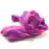 Intelligente Knete 11004, Knetmasse, Pink, Violett, 80 g, Produktbild-Vorschau 6