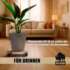 BigDean Pflanzenroller Holz 5er Set Eckig 30 cm - 120 Kg Produktbild-Vorschau 5