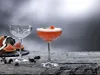 Two cocktail glasses on a wooden table, one empty and one filled with a red cocktail, with grapefruit slices and bar tools in the background. Produktbild-Vorschau