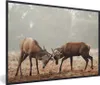 MuchoWow® MuchoWow® Gerahmtes Poster Hirsche - Wald - Gras Produktbild-Vorschau 1