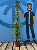 A potted climbing plant is shown next to a cartoon illustration of a man indicating height. Náhled obrázku produktu