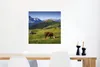 MuchoWow® Poster Kuh - Berg - Alpen 50x50 cm - Produktbild-Vorschau 5