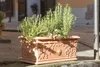 BAMA Truhlík, VITE 80 cm, terracotta Náhled obrázku produktu 3