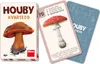 DINO Quartett Houby Náhled obrázku produktu 1