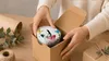 Sparschwein Verpackung Geschenkbox Sublimationsbox 330 ml Produktbild-Vorschau 5