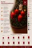 4er Set Adventskranzkerzen Aprikose 100 x 48 mm | Wiedemann Produktbild-Vorschau 3