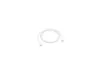 MM093ZM/A Apple USB-C/USB-C Datový Kabel 1m biely (Bulk) Náhľad obrázku produktu 1