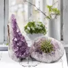 Decorazione in cristallo naturale ametista druse 700g-800g Anteprima dell’immagine prodotto 4