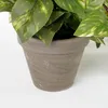 Mica Decorations Scindapsus závěsná umělá rostlina v Náhled obrázku produktu 6