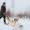 HUNTER Warnweste für Hunde, stufenlos verstellbar, wasser- Produktbild-Vorschau 12
