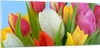 Bilder auf glas - Tulpen Blumenstrauß Blumen Tau - 100x40cm Produktbild-Vorschau 1
