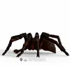 Hračka Schleich Harry Potter - Aragog Anteprima dell’immagine prodotto 12