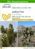 SAFLAX - Joshua Tree - 10 Samen - Mit keimfreiem Produktbild-Vorschau 1