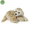 Plsch-Labrador, 27 cm, umweltfreundlich Produktbild-Vorschau 5