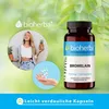 Bioherba Bromelain 350 mg 100 Kapseln Produktbild-Vorschau 5