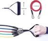 Set mit elastischen Tubebändern, Ryher Sports, maximale Produktbild-Vorschau 8