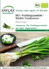 Artikelbild 1 von 'BIO Frühlingszwiebel Weißer Lissabonner' aus der Kategorie Zwiebelsamen Podgląd zdjęcia produktu
