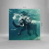 Bilder auf glas - Elefant Tier Wasser - 50x50cm - Produktbild-Vorschau 3
