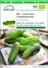SAFLAX Garden to go -- Concombre - Vorgebirgstraube  - 15 Voir les images du produit 1