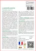 SAFLAX  - La potentille ansérine  - 20 graines - Potentilla Voir les images du produit 3
