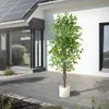 ML-Design sztuczna roślina Ficus 210cm sztuczne rośliny Podgląd zdjęcia produktu 8
