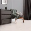 A chest of drawers with a cactus and a chair with a blanket and pillow in a room. Podgląd zdjęcia produktu