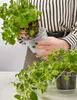 Stilvolle Blumentöpfe rund: Grüne Schönheit für Zuhause Produktbild-Vorschau 7