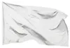 PHENO FLAGS Drapeau blanc 90 x 150 cm : peindre, écrire, Voir les images du produit 1