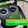 Chauffage de serre BioGreen "Palma" avec thermostat Voir les images du produit 3