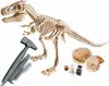 Galileo Kit de fouilles T-Rex & Fossile Kit de modelage Voir les images du produit 5