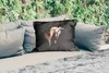 MuchoWow® Outdoor Kissen - Pferde - Halfter - Schwarz - Produktbild-Vorschau 2